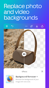 Canva screenshot 3